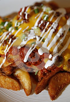 Ultimate loaded french fries photo